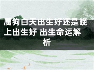 属狗白天出生好还是晚上出生好 出生命运解析