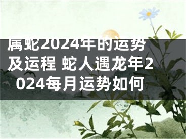 属蛇2024年的运势及运程 蛇人遇龙年2024每月运势如何