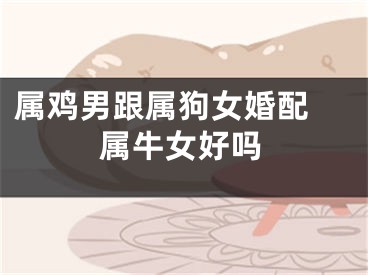 属鸡男跟属狗女婚配 属牛女好吗