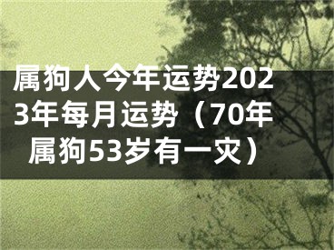 属狗人今年运势2023年每月运势（70年属狗53岁有一灾）