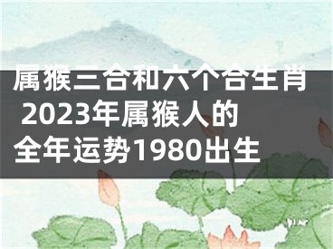 属猴三合和六个合生肖 2023年属猴人的全年运势1980出生