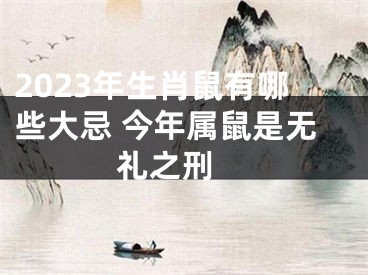 2023年生肖鼠有哪些大忌 今年属鼠是无礼之刑 