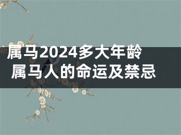 属马2024多大年龄 属马人的命运及禁忌