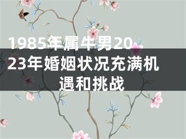 1985年属牛男2023年婚姻状况充满机遇和挑战