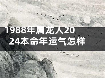 1988年属龙人2024本命年运气怎样