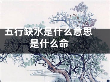 五行缺水是什么意思 是什么命 