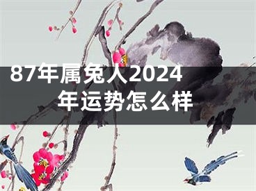 87年属兔人2024年运势怎么样