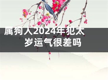属狗人2024年犯太岁运气很差吗