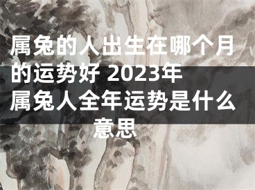 属兔的人出生在哪个月的运势好 2023年属兔人全年运势是什么意思 