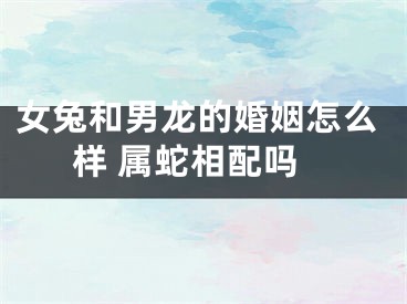 女兔和男龙的婚姻怎么样 属蛇相配吗