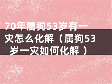 70年属狗53岁有一灾怎么化解（属狗53岁一灾如何化解 ）