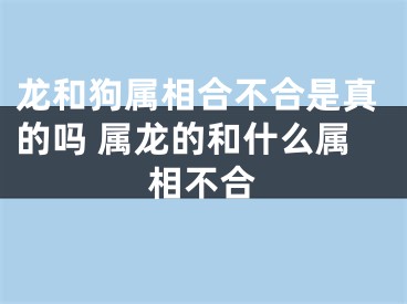 龙和狗属相合不合是真的吗 属龙的和什么属相不合
