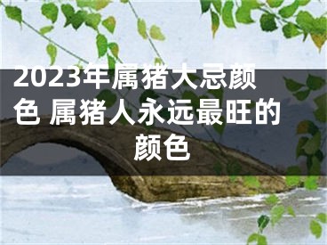 2023年属猪大忌颜色 属猪人永远最旺的颜色