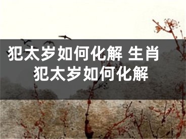 犯太岁如何化解 生肖犯太岁如何化解