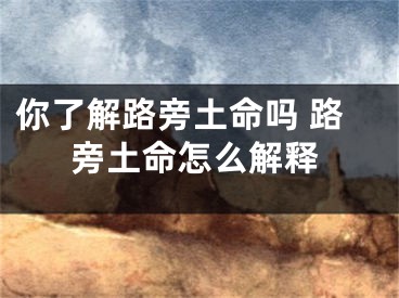 你了解路旁土命吗 路旁土命怎么解释