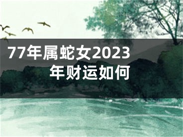 77年属蛇女2023年财运如何