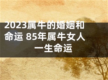 2023属牛的婚姻和命运 85年属牛女人一生命运