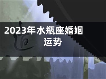 2023年水瓶座婚姻运势