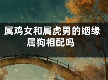 属鸡女和属虎男的姻缘 属狗相配吗