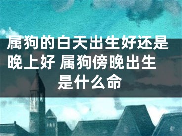 属狗的白天出生好还是晚上好 属狗傍晚出生是什么命