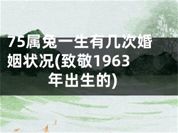 75属兔一生有几次婚姻状况(致敬1963年出生的)