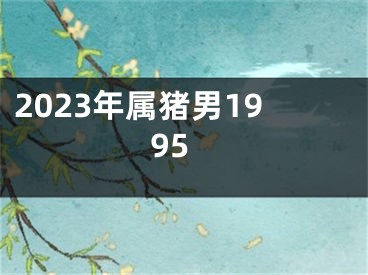 2023年属猪男1995