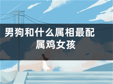 男狗和什么属相最配 属鸡女孩