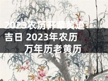 2023农历开荤黄道吉日 2023年农历万年历老黄历