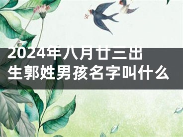 2024年八月廿三出生郭姓男孩名字叫什么