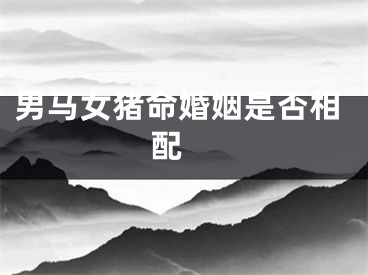 男马女猪命婚姻是否相配 