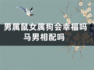 男属鼠女属狗会幸福吗 马男相配吗