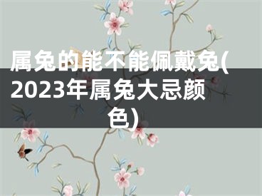属兔的能不能佩戴兔(2023年属兔大忌颜色)