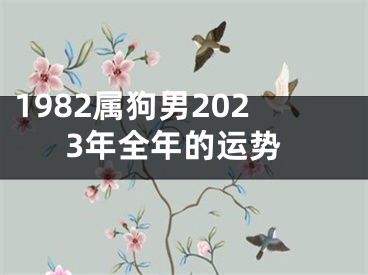 1982属狗男2023年全年的运势