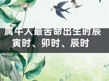 属牛人最苦命出生时辰 寅时、卯时、辰时