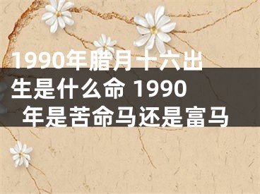 1990年腊月十六出生是什么命 1990年是苦命马还是富马