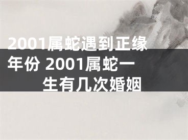 2001属蛇遇到正缘年份 2001属蛇一生有几次婚姻