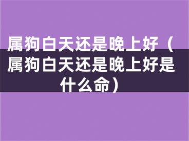 属狗白天还是晚上好（属狗白天还是晚上好是什么命）