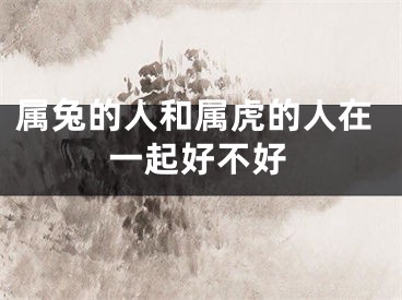 属兔的人和属虎的人在一起好不好