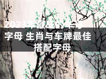 2023年最旺的车号字母 生肖与车牌最佳搭配字母