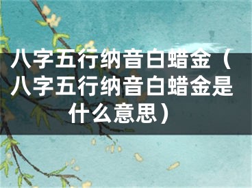 八字五行纳音白蜡金（八字五行纳音白蜡金是什么意思）