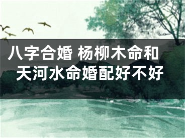 八字合婚 杨柳木命和天河水命婚配好不好