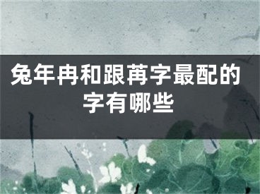 兔年冉和跟苒字最配的字有哪些