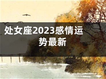 处女座2023感情运势最新