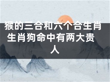 猴的三合和六个合生肖 生肖狗命中有两大贵人