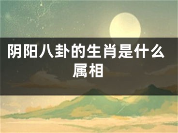 阴阳八卦的生肖是什么属相