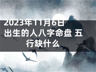 2023年11月6日出生的人八字命盘 五行缺什么 