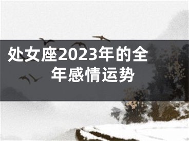 处女座2023年的全年感情运势