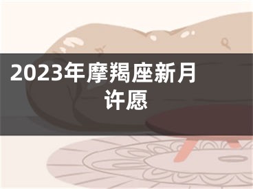 2023年摩羯座新月许愿