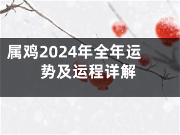 属鸡2024年全年运势及运程详解