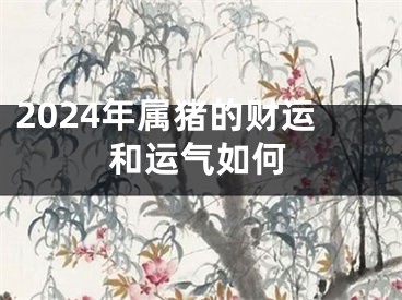 2024年属猪的财运和运气如何